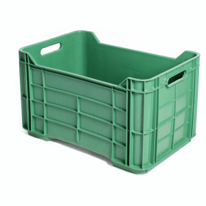 Chapala cerrada verde