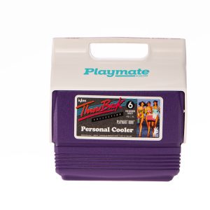 Hielera Igloo Playmate Mini cap. 6 latas 3L Morada