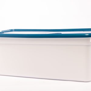 Caja Megaforte # 80 C/Tapa Broche