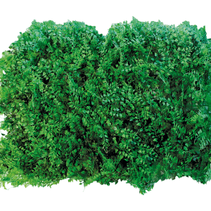 Follaje Artificial Helecho Irazu Verde 60*40cm
