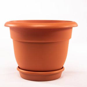 Macetero 6 con plato cotta