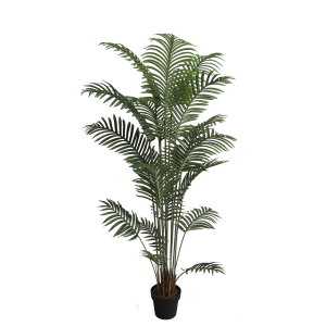 Arbusto Palmera 180cm