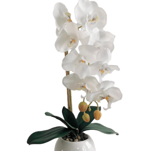 Planta Orquidea Mariposa 46cm