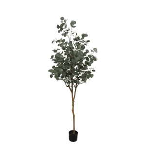 Arbusto Eucalipto 185cm