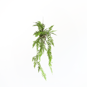 Planta Helecho colgante 97cm